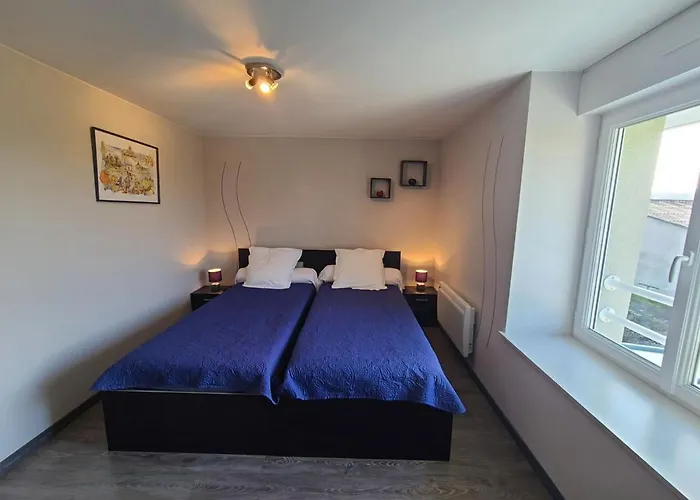 Maison De Charme Avec Et Veranda - Proche Thermes De Vittel Et Cite Des Images - Fr-1-589-252 Prázdninový dům