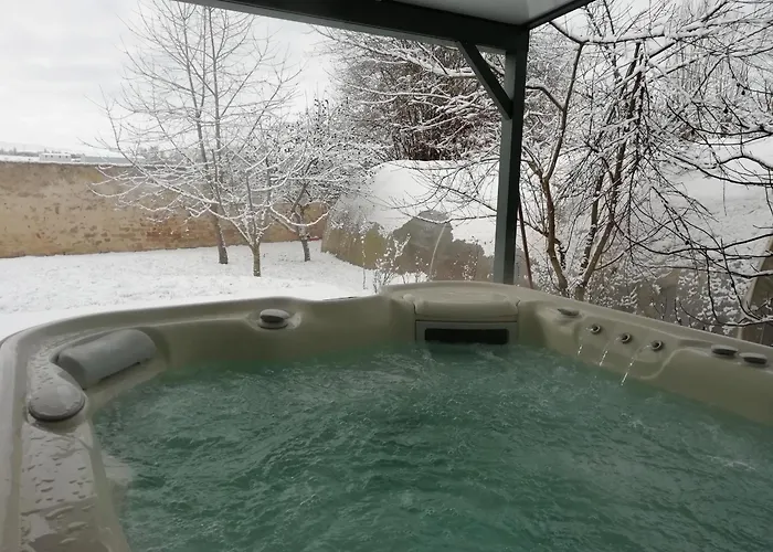 Maison De Charme Avec Et Veranda - Proche Thermes De Vittel Et Cite Des Images - Fr-1-589-252